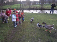 Ons oude brood geven we altijd aan de eendjes
